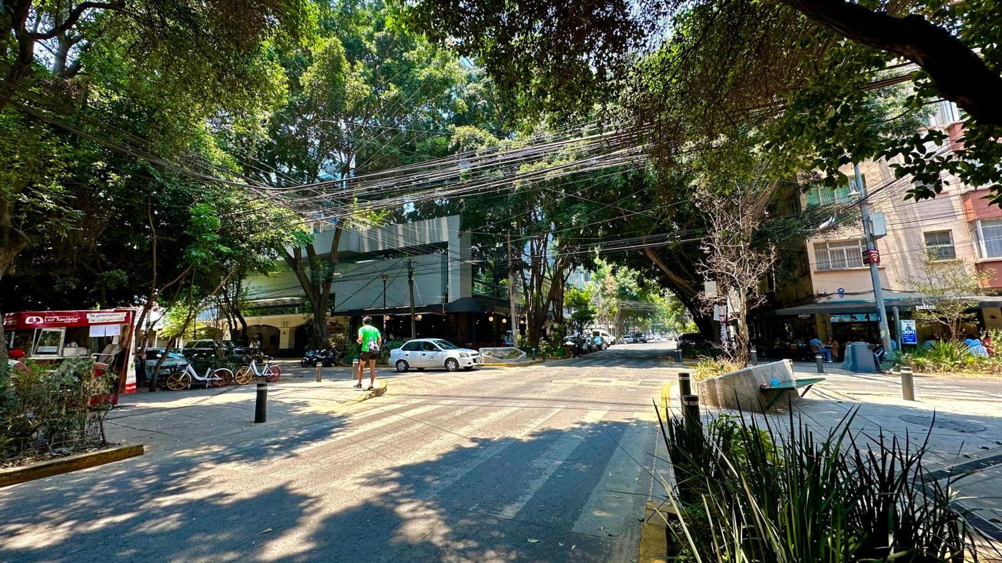 Suites Lerma 205 مدينة مكسيكو المظهر الخارجي الصورة