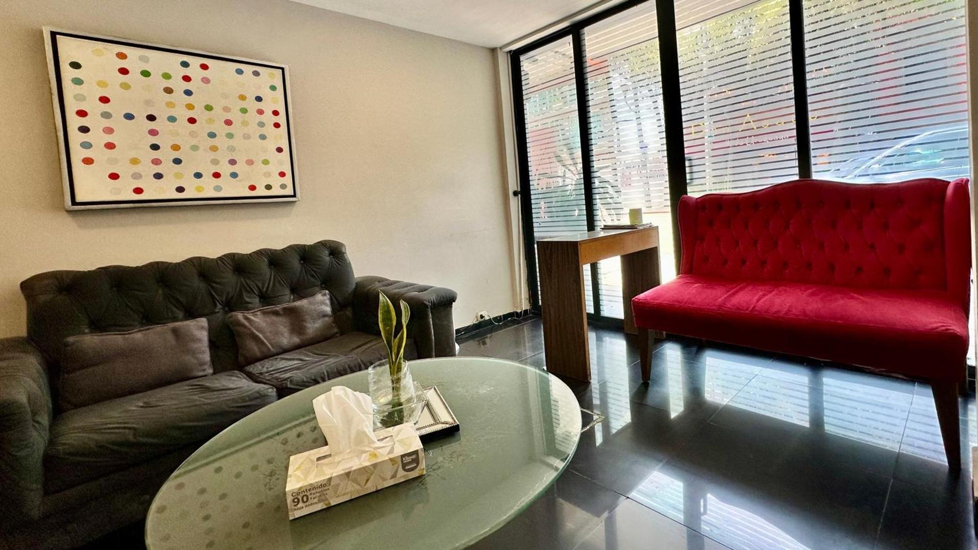 Suites Lerma 205 مدينة مكسيكو المظهر الخارجي الصورة