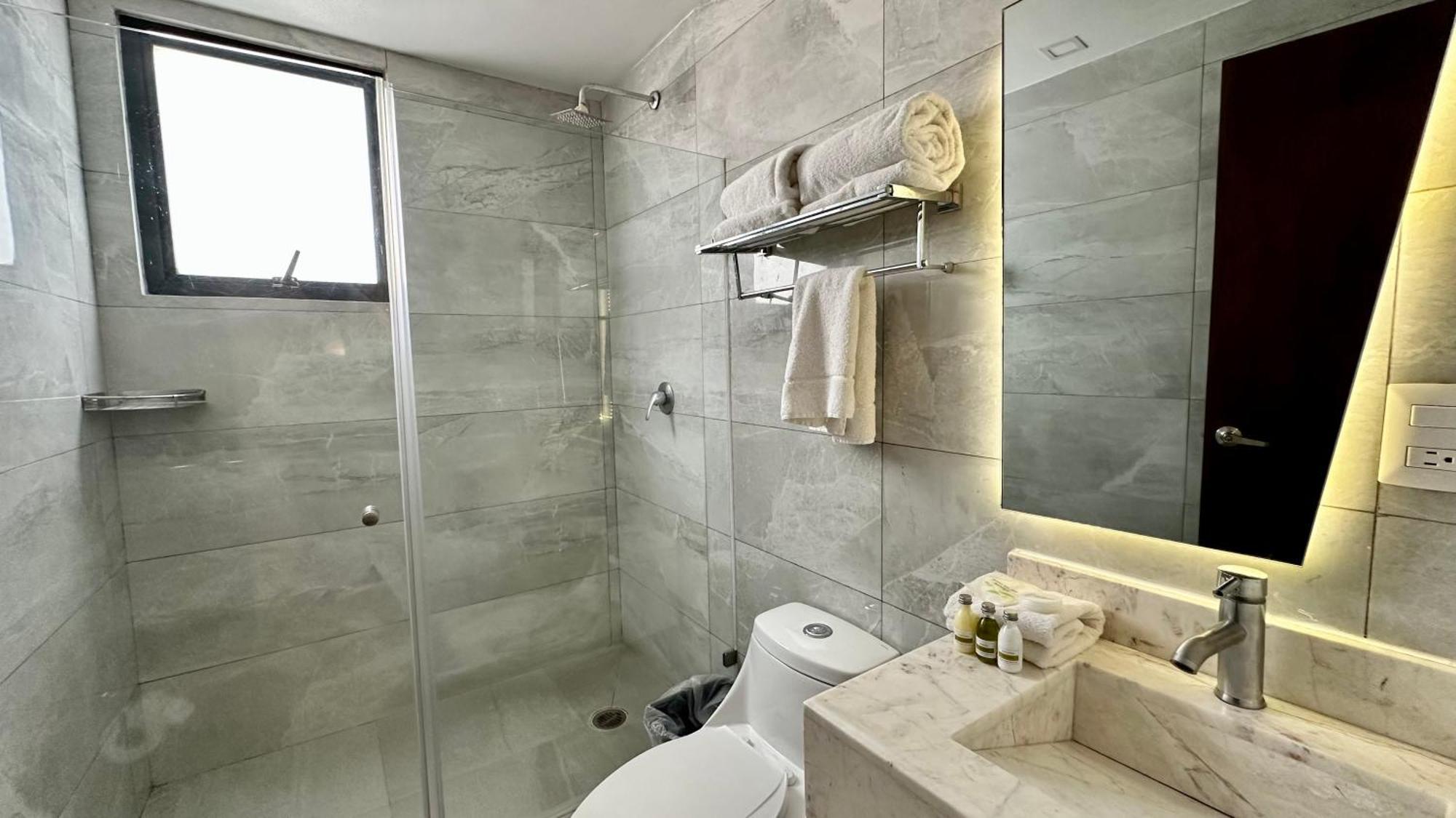 Suites Lerma 205 مدينة مكسيكو المظهر الخارجي الصورة