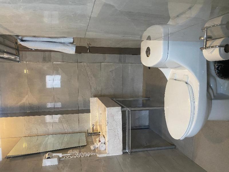 Suites Lerma 205 مدينة مكسيكو الغرفة الصورة