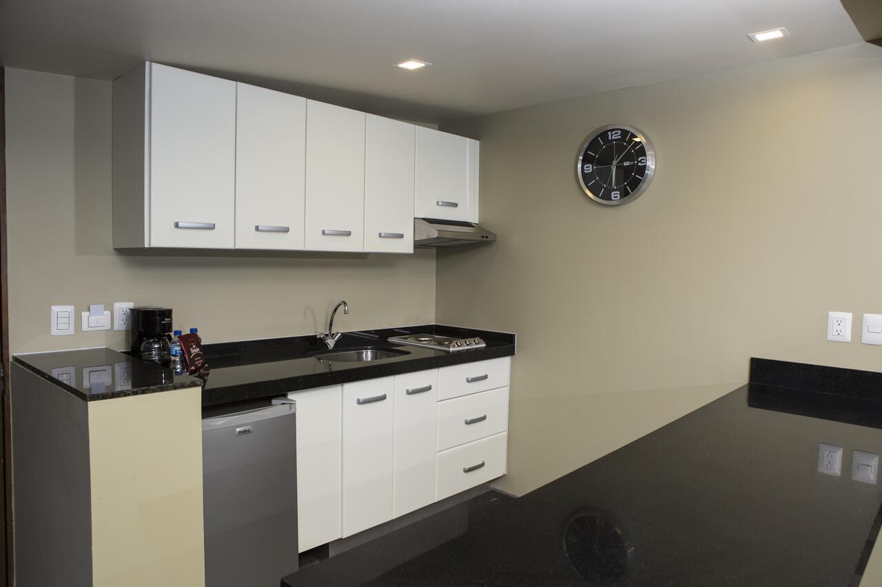 Suites Lerma 205 مدينة مكسيكو المظهر الخارجي الصورة