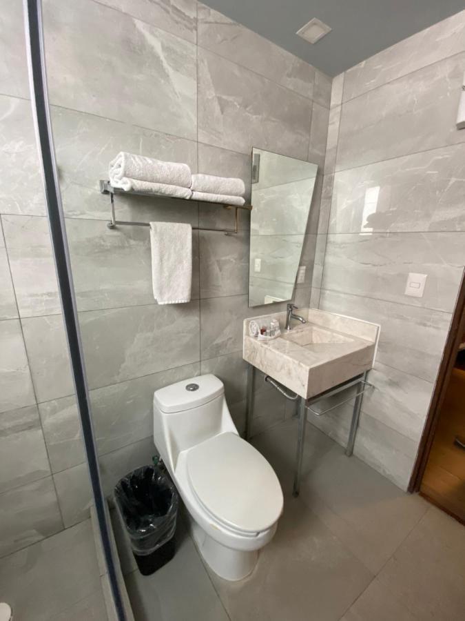 Suites Lerma 205 مدينة مكسيكو المظهر الخارجي الصورة