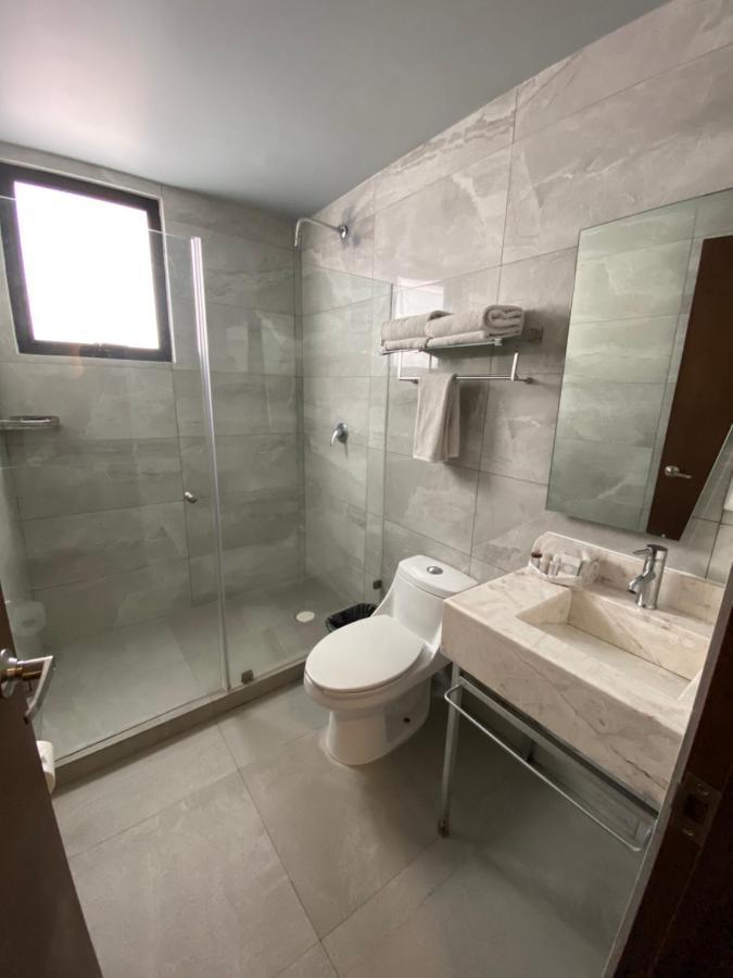Suites Lerma 205 مدينة مكسيكو المظهر الخارجي الصورة